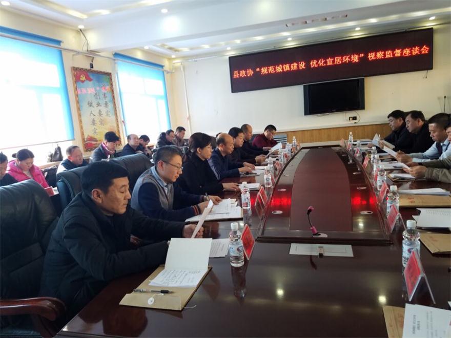 视察监督座谈会