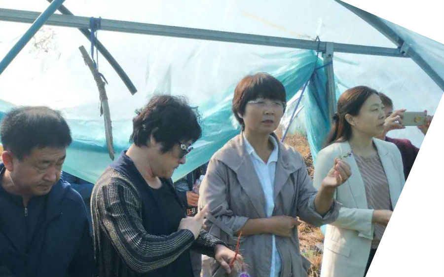微信图片_20180925083907.jpg