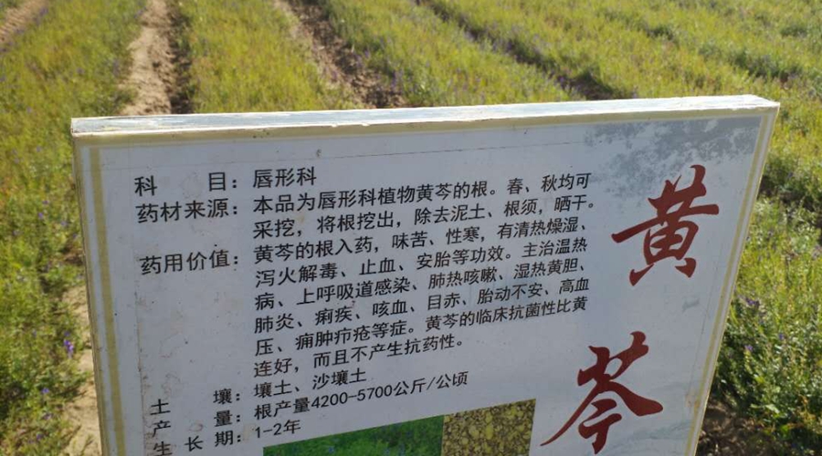 微信图片_20180925084008.jpg