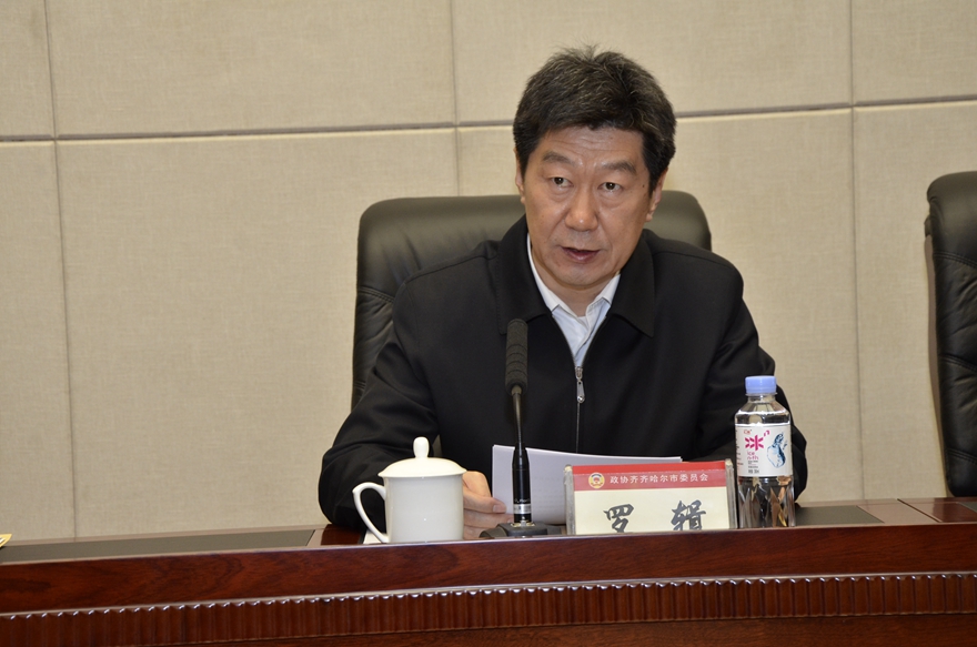 市政府副市长罗辑讲话.JPG